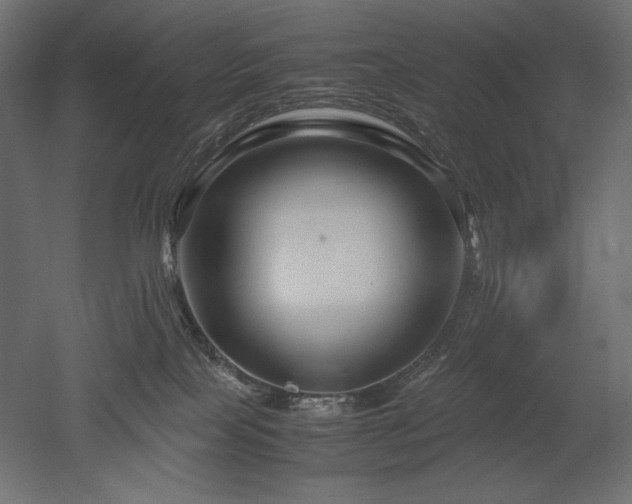 X0000052630089200507011331