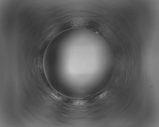 X0000052630091200507011331