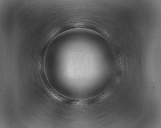 X0000052630092200507011331