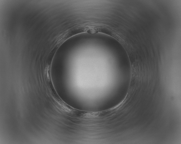 X0000052630094200507011331