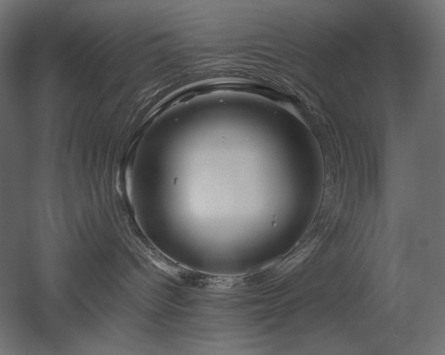 X0000052630096200507011331
