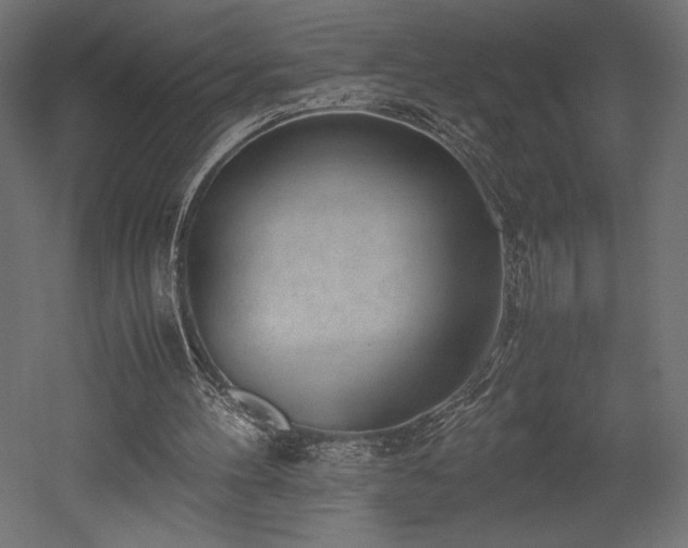 X0000052630100200507011330