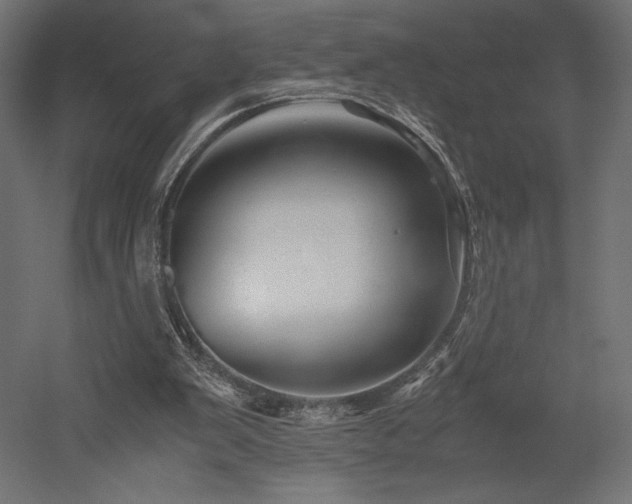 X0000052630103200507011330