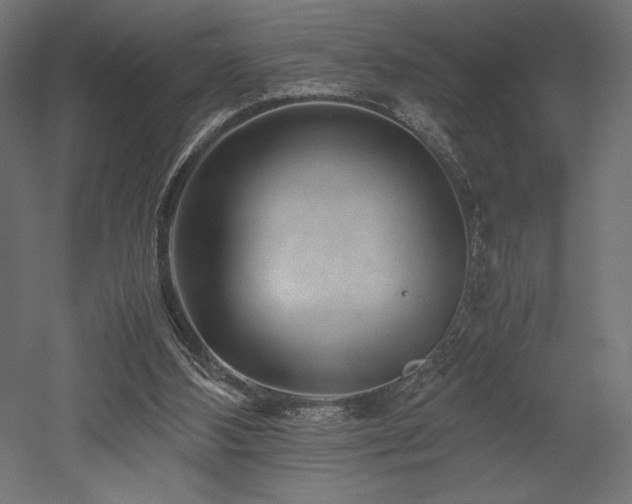 X0000052630108200507011330