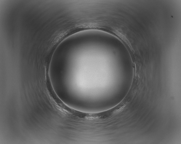 X0000052630109200507011330