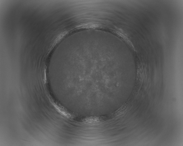 X0000052630110200507011330