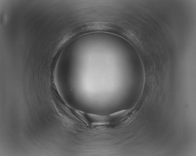 X0000052630111200507011330