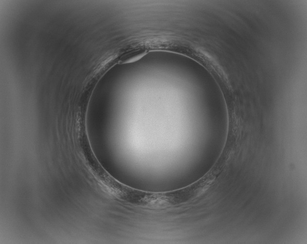 X0000052630113200507011330