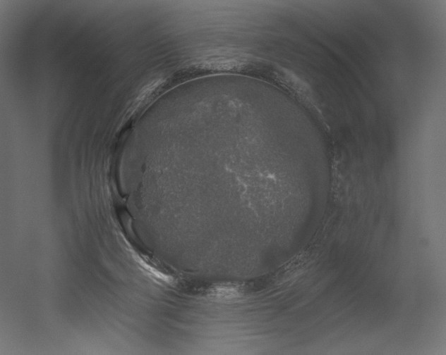 X0000052630114200507011330