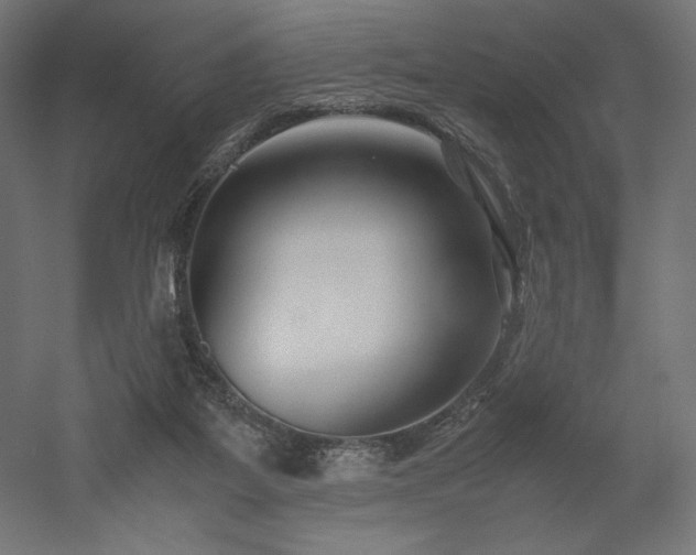X0000052630115200507011330
