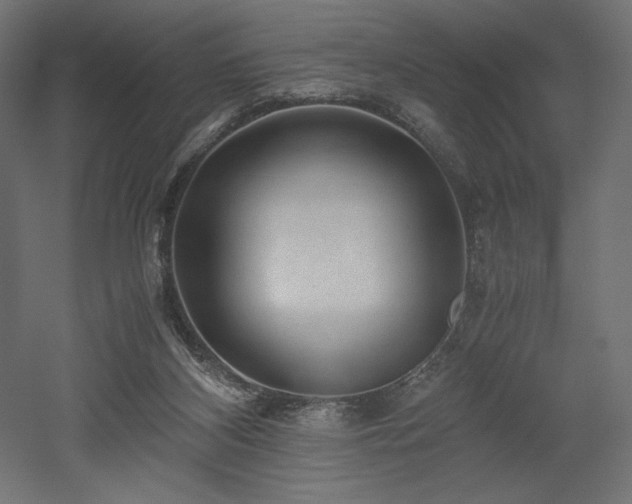 X0000052630116200507011330