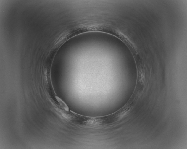 X0000052630117200507011330