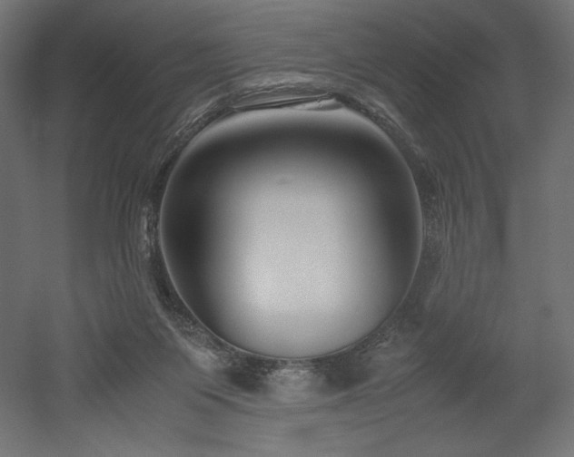 X0000052630119200507011330