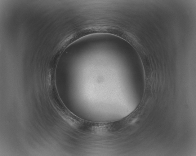 X0000052630120200507011330