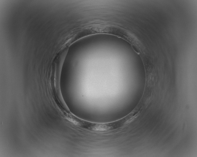 X0000052630121200507011330