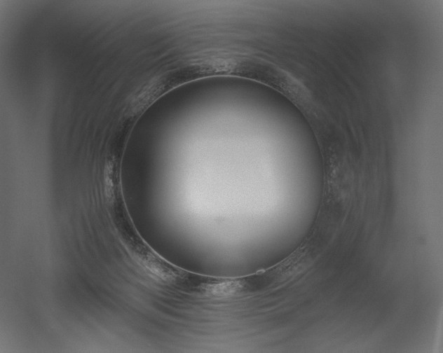 X0000052630122200507011330