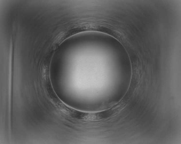 X0000052630123200507011330