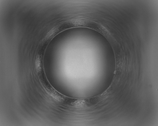 X0000052630124200507011330