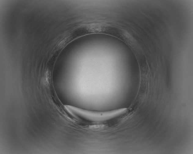 X0000052630125200507011330