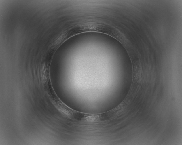 X0000052630126200507011330