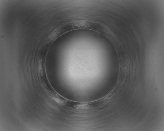X0000052630132200507011330