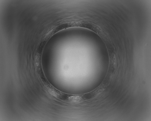 X0000052630133200507011330