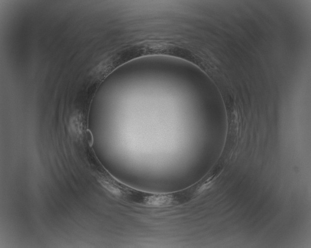 X0000052630135200507011330