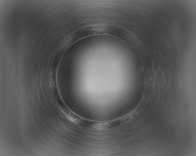 X0000052630136200507011330