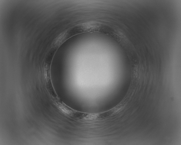 X0000052630138200507011330