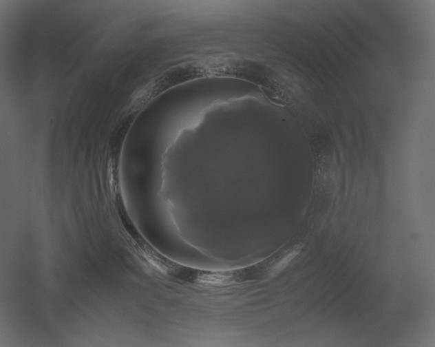 X0000052630139200507011330