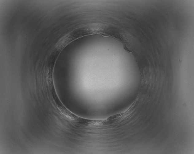 X0000052630140200507011330