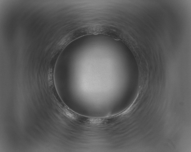 X0000052630144200507011330