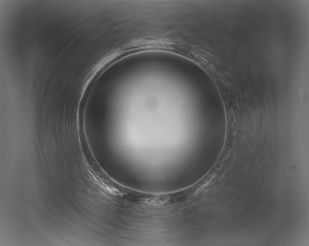X0000052630148200507011329