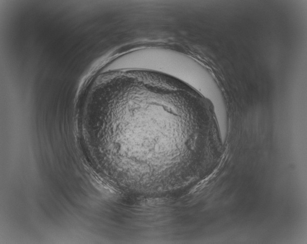 X0000052630149200507011329