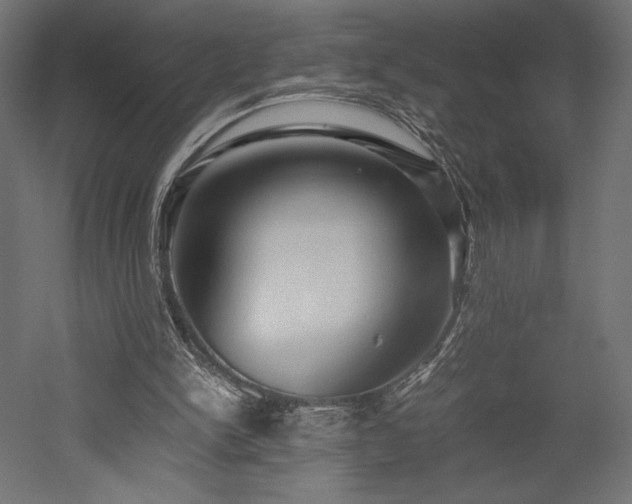 X0000052630150200507011329