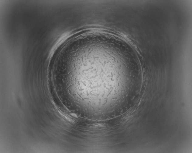 X0000052630151200507011329