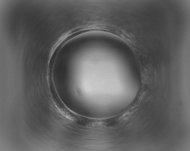 X0000052630152200507011329