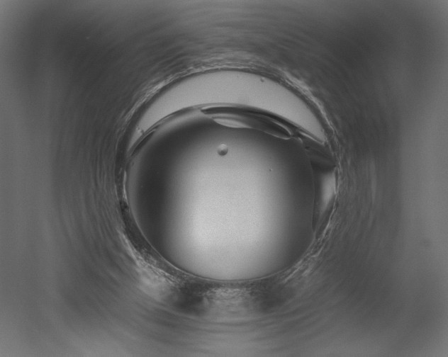 X0000052630154200507011329