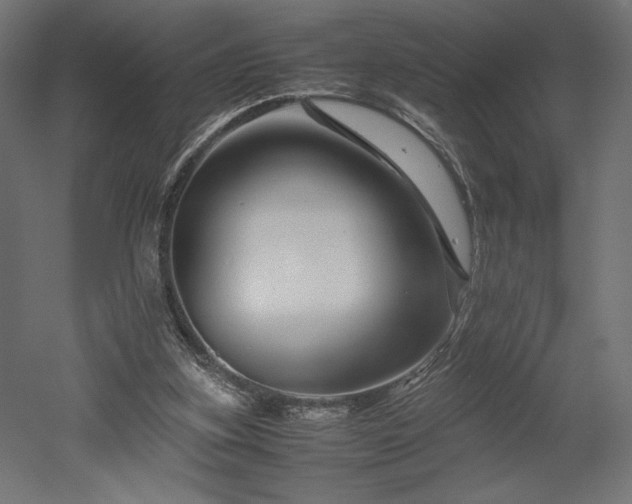X0000052630155200507011329