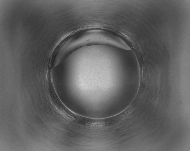 X0000052630156200507011329