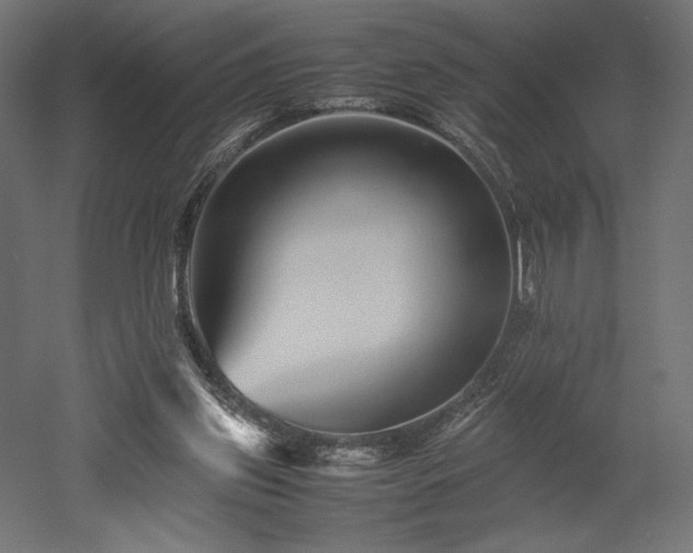 X0000052630157200507011329