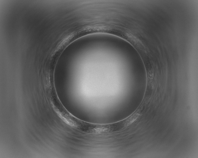 X0000052630158200507011329