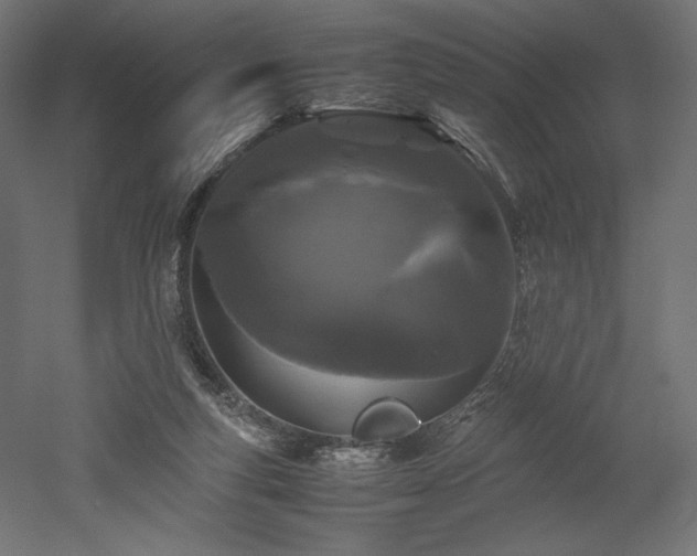 X0000052630163200507011329