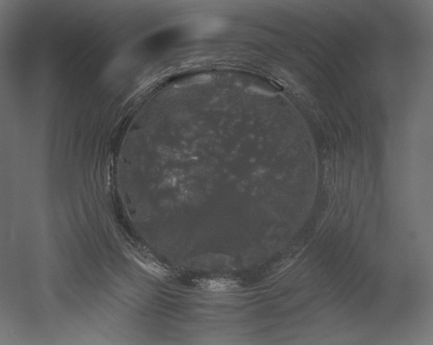 X0000052630165200507011329