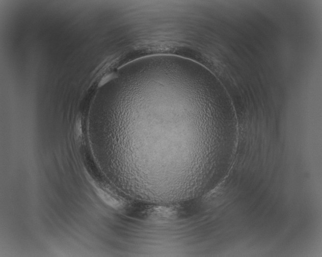 X0000052630166200507011329