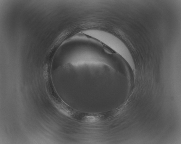 X0000052630167200507011329