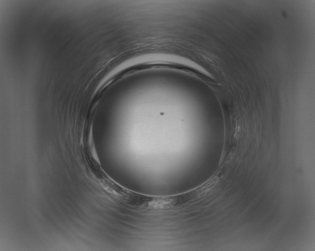 X0000052630172200507011329