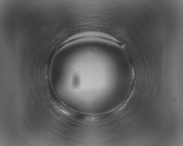X0000052630174200507011329