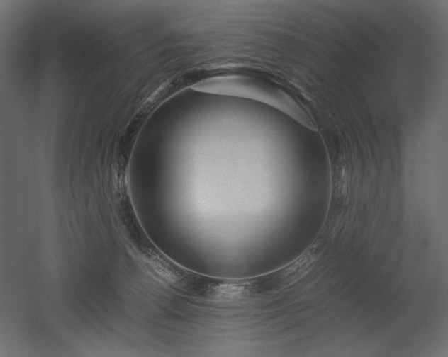 X0000052630176200507011329