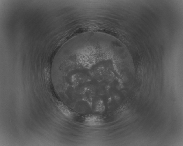 X0000052630177200507011329